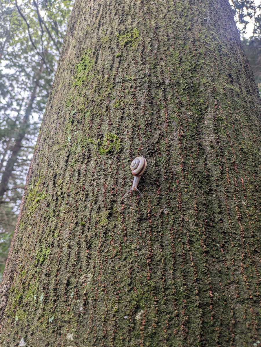 春见🌍🍊🥝🙊 tweet media