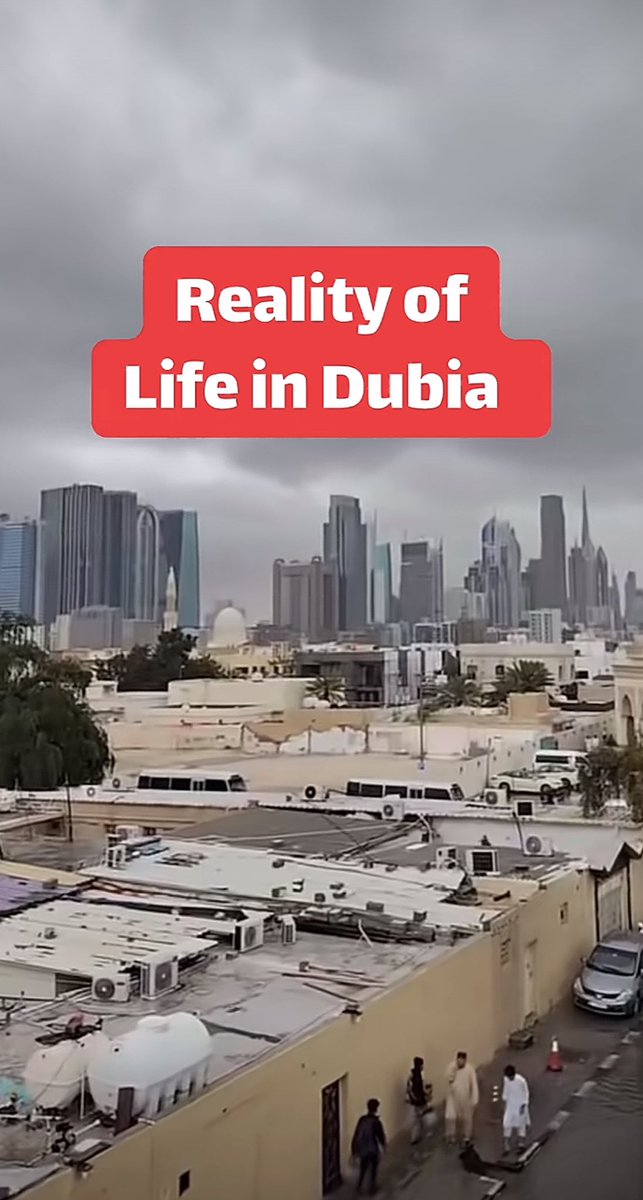 هديبان tweet media