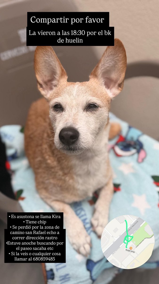 Francis Cervantes tweet media