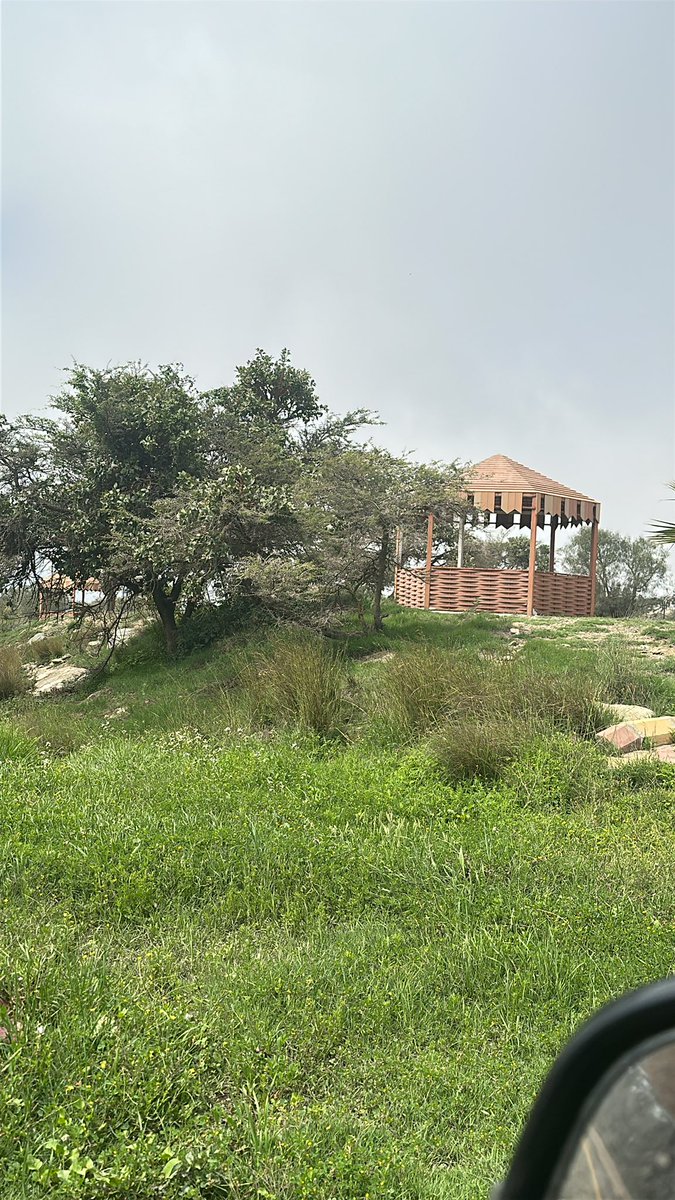 القادم احلى tweet media