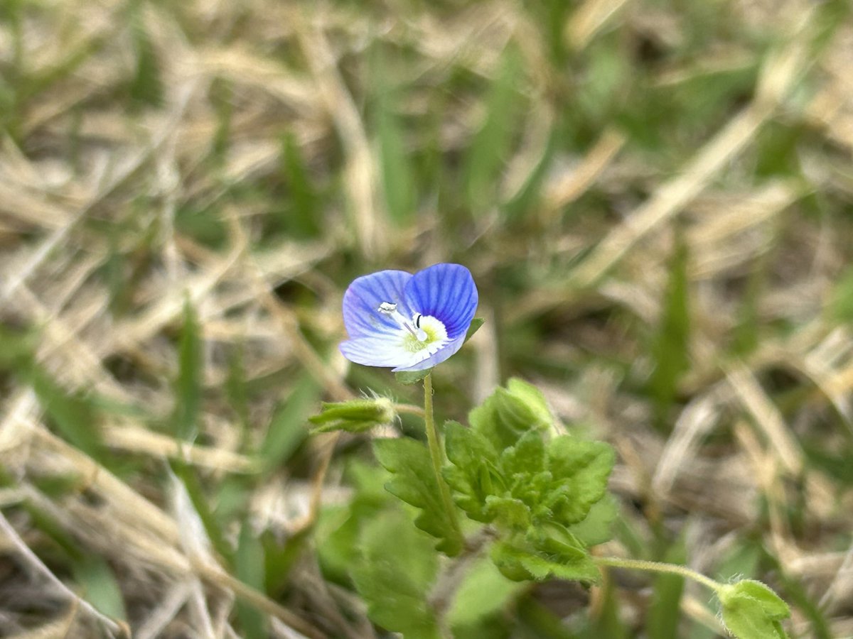 じゃこ🐟🧸 tweet media