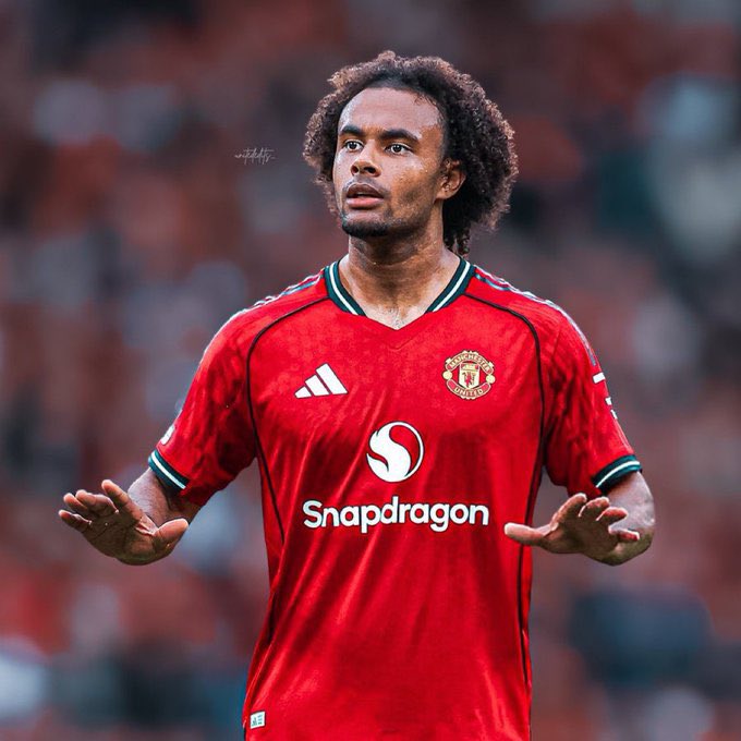 Days Ahead tweet media