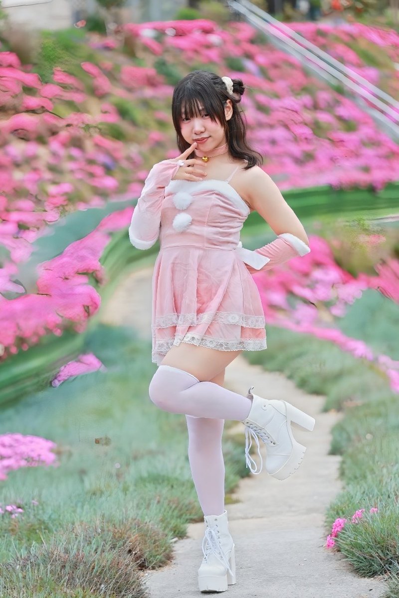 ⌘すっとんだ次郎 tweet media