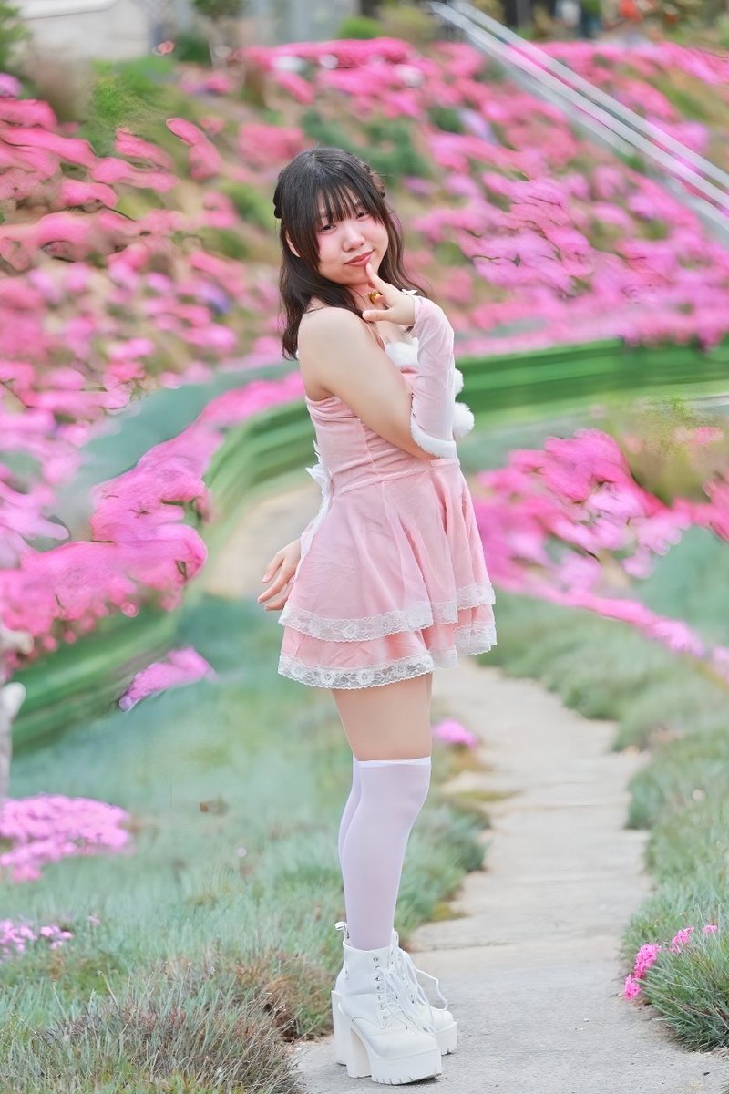 ⌘すっとんだ次郎 tweet media