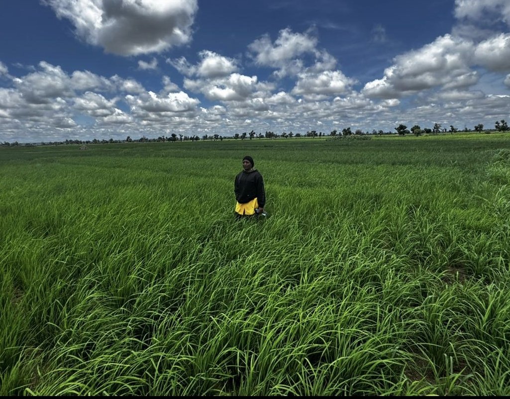 Yen yen 🥰 tweet media