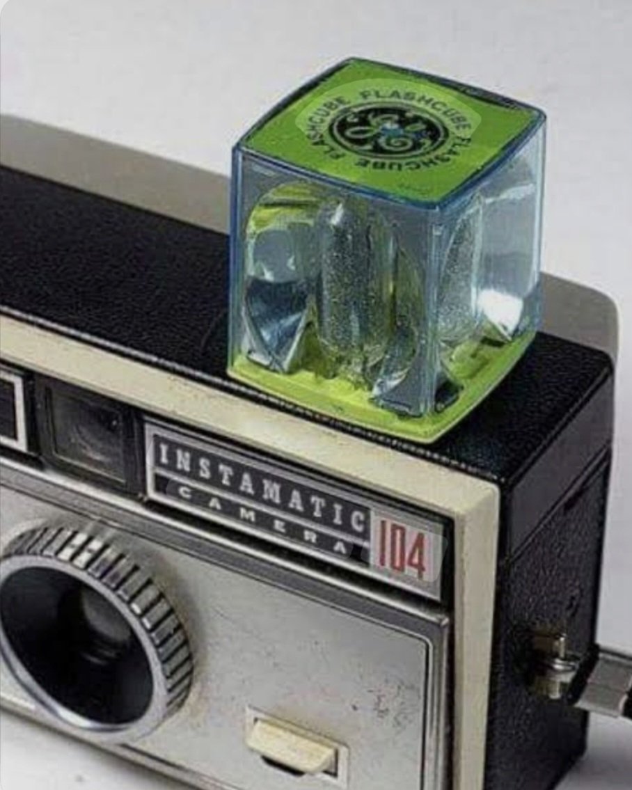 WeeBeastie tweet media