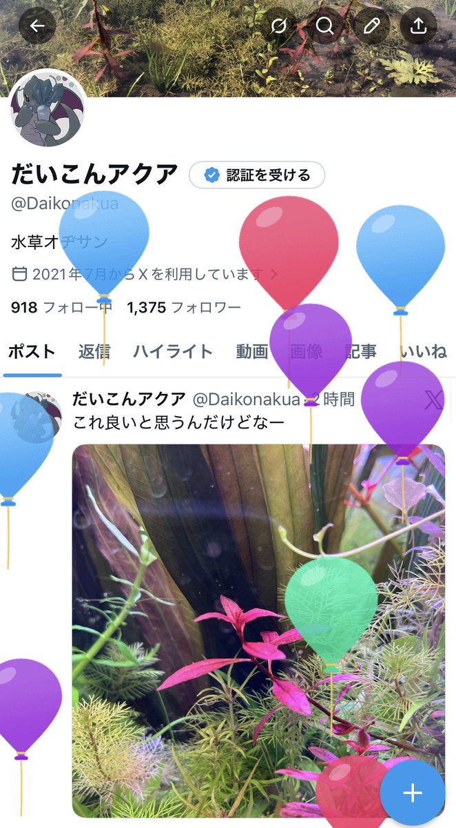 だいこんアクア tweet media