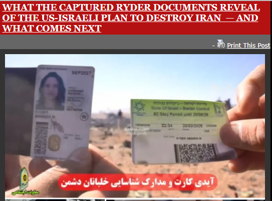 Dances_with_Bears tweet media