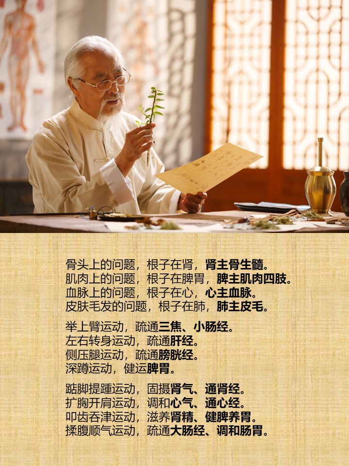 骨头上的问题，根子在肾，肾主骨生髓。
肌肉上的问题，根子在脾胃，脾主肌肉四肢。
血脉上的问题，根子在心，心主血脉。
皮肤毛发的问题，根子在肺，肺主皮毛。

举上臂运动，疏通三焦、小肠经。
左右转身运动，疏通肝经。
侧压腿运动，疏通膀胱经。
深蹲运动，健运脾胃。

踮脚提踵运动，固摄肾气、通