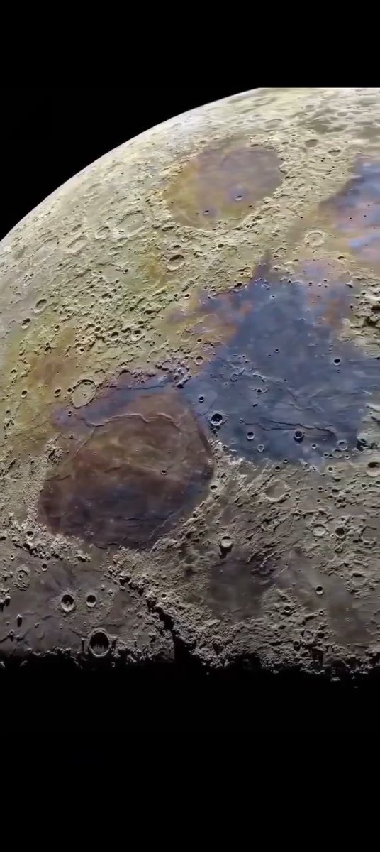 〽️4lfiere⁉️ tweet media