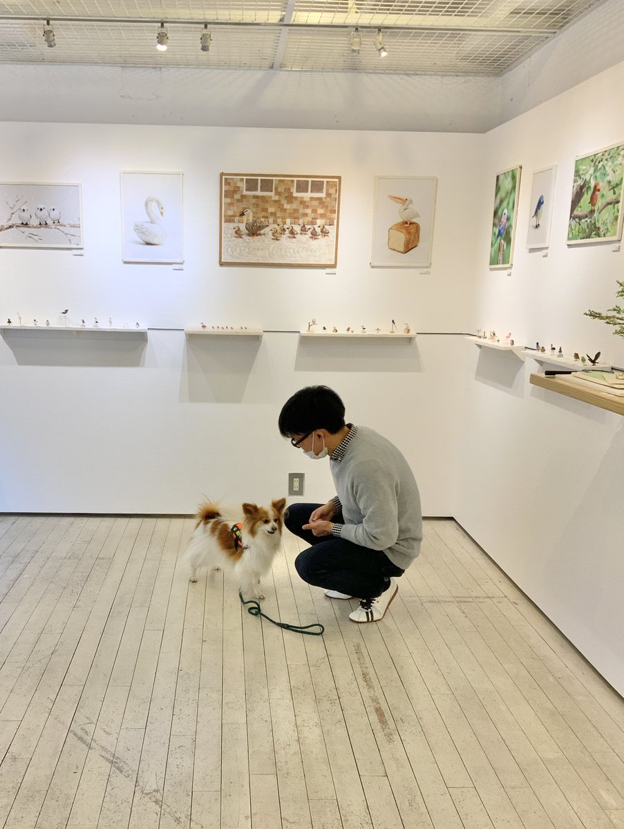 スペースユイ tweet media