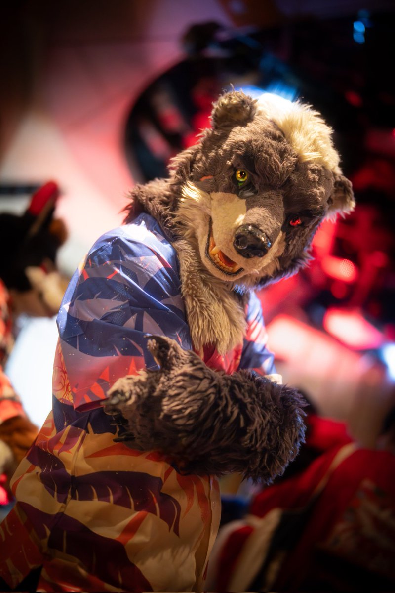 주니🐻Jooni🎗🔜毛毛露營🇹🇼,FURSTCLASS🇰🇷 tweet media