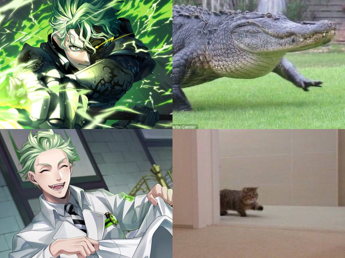 カリゴ 💚🐊⚡️💚 tweet media