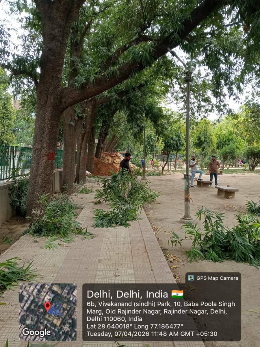 ArtiChawlaBjpRN's tweet image. ओल्ड राजेंद्र नगर, वार्ड 141 स्थित सिंधी पार्क में पेड़ों की छंटाई का कार्य। 🌳✂️

हरित और सुरक्षित वातावरण के लिए नियमित रखरखाव जारी।

— डॉ. आरती चावला
निगम पार्षद, वार्ड 141, राजेंद्र नगर

#SindhiPark #OldRajendraNagar #Ward141 #TreePruning