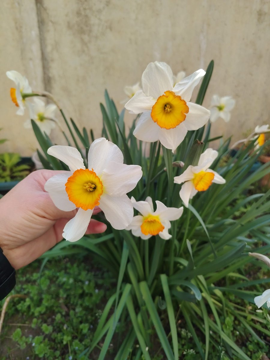 Başak ❤️‍🩹 tweet media