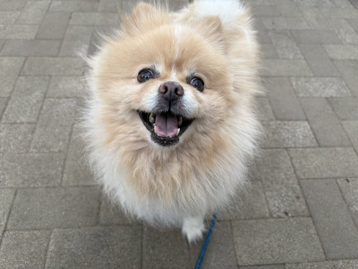 ∞ジェイク∞ tweet media