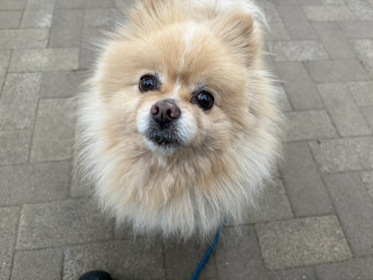 ∞ジェイク∞ tweet media