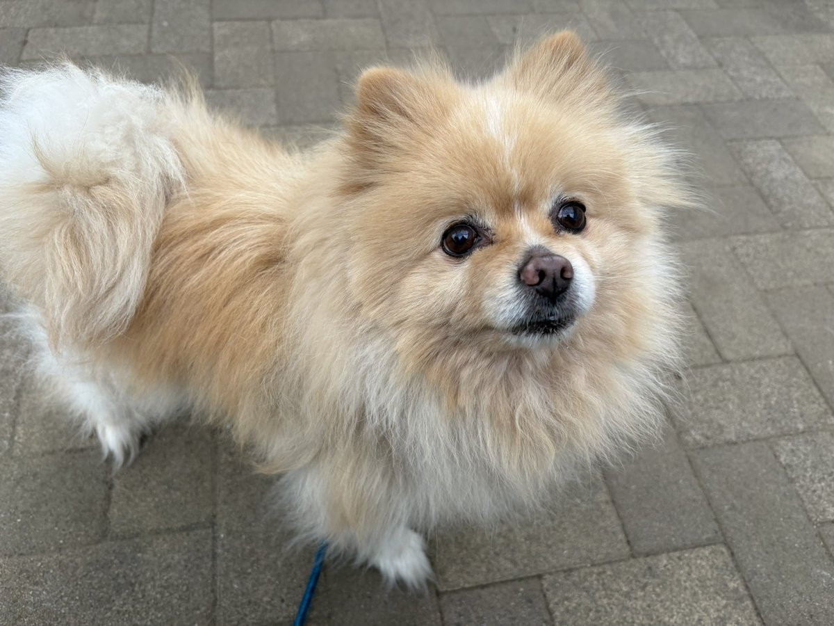 ∞ジェイク∞ tweet media