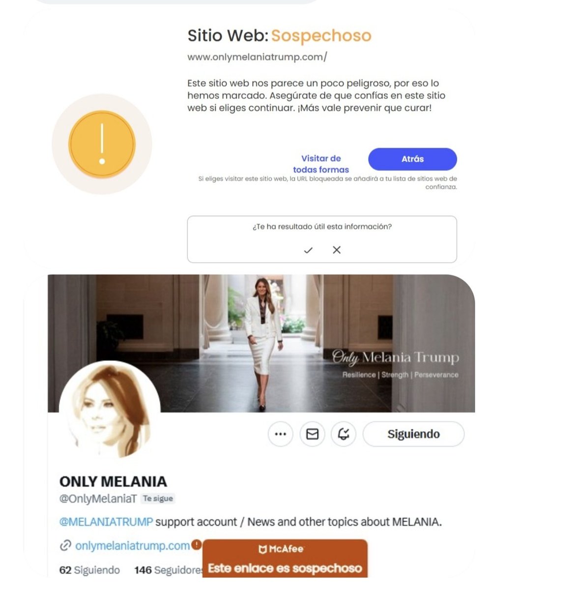 ONLY MELANIA tweet media