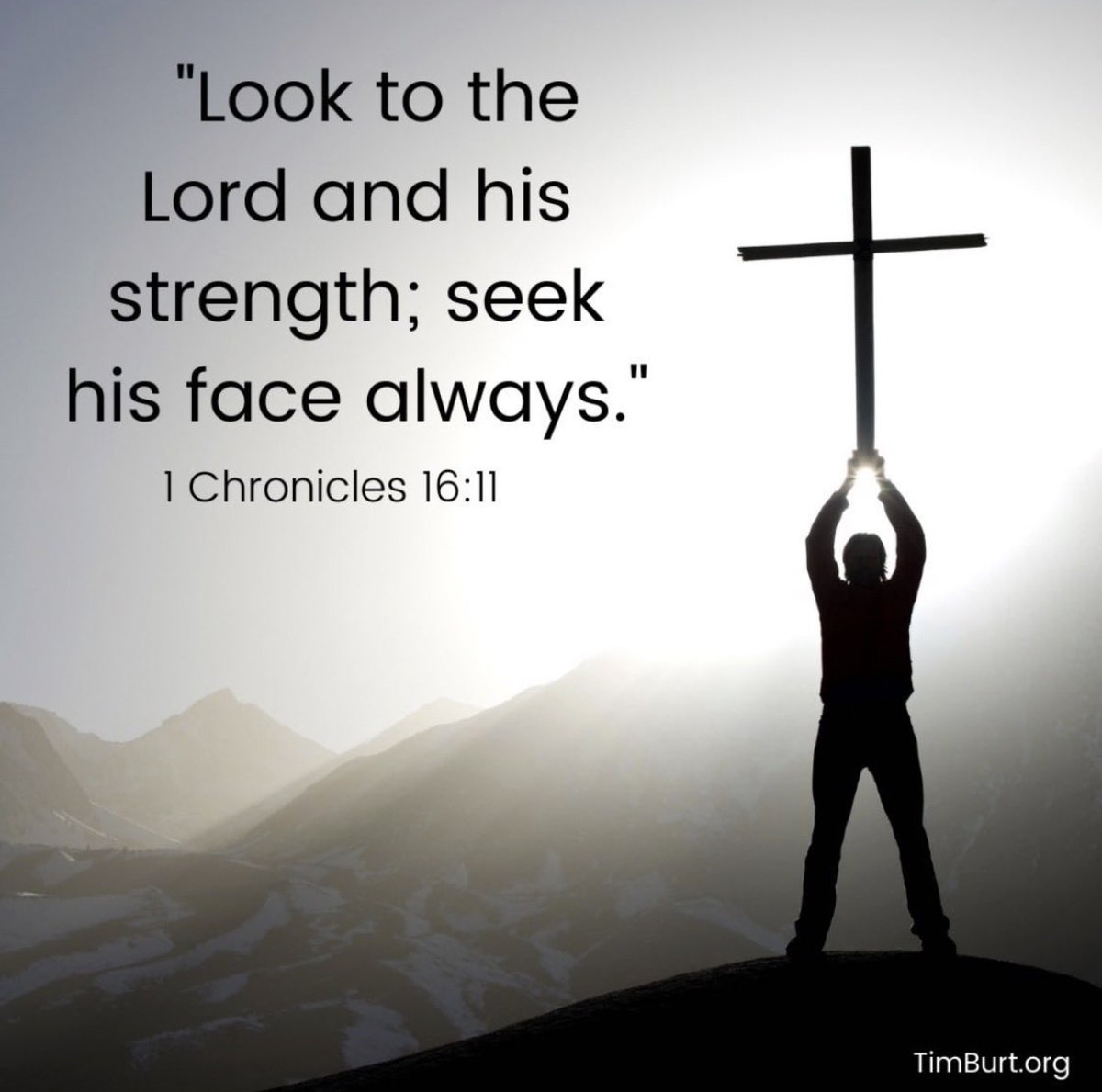 Timothy Burt tweet media