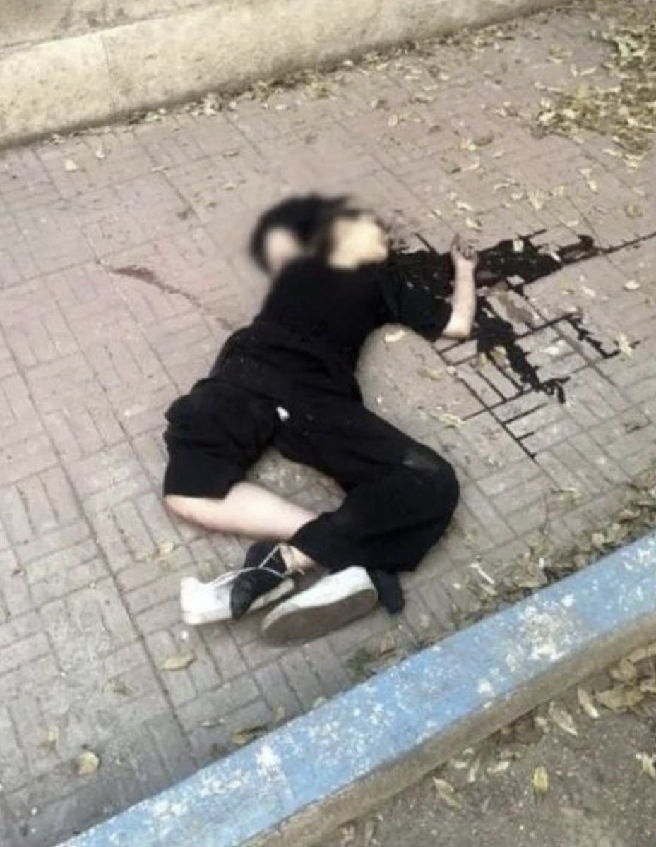 H. Farsi 🇮🇷 tweet media