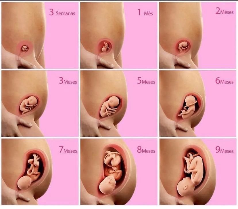 Medical knowledge tweet media