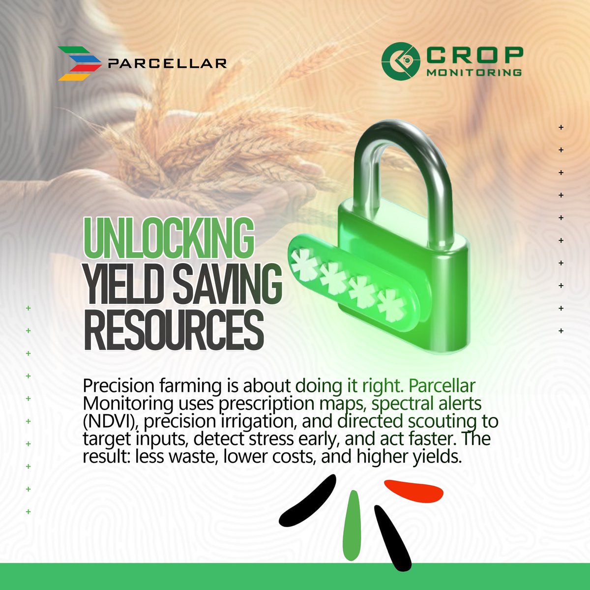 earthasoft's tweet photo. Unlocking yield with precision 🔒🌱

Parcellar Crop Monitoring helps farmers detect stress early, target inputs, cut costs, and maximize yields—sustainably.Every hectare has potential. We help you unlock it.
#PrecisionAgriculture #AgriTech #SmartFarming https://t.co/F6uDN3NMsO