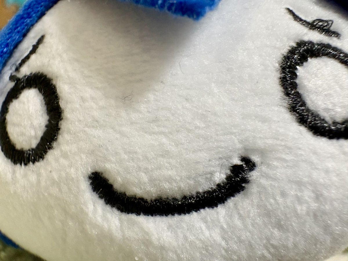 ちゃも ころろん🩵໒꒱@低浮上気味 tweet media