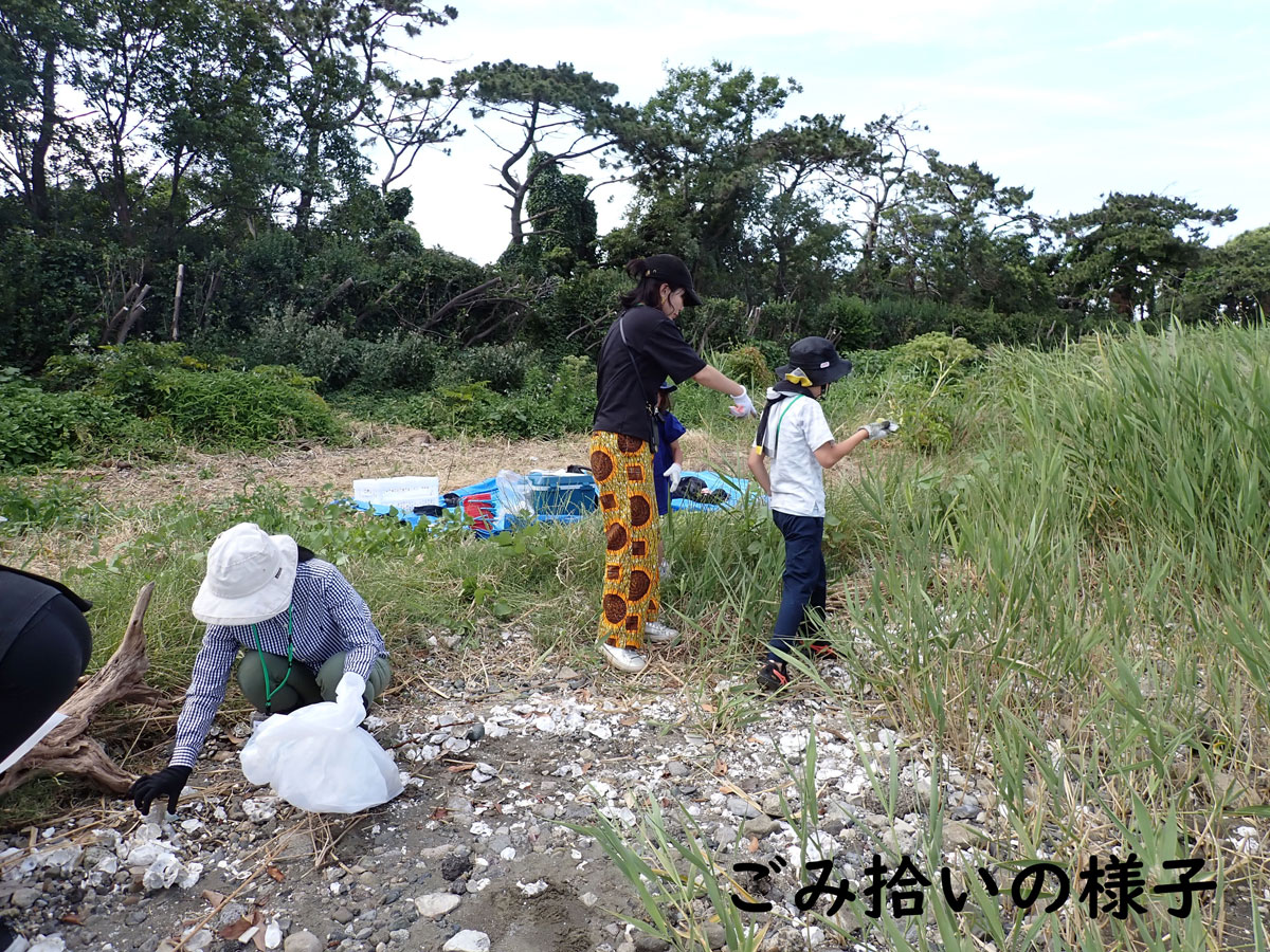 wbsj_tsubame's tweet photo. 4/18東京港野鳥公園「海ごみクリーン作戦！」開催
(要事前申込)
東京湾に面している保護区・前浜干潟には、たくさんのごみが流れつきます。干潟でカニや魚などの観察とごみ拾いを行うイベントを開催します。海辺の生き物と触れ合いながら、生き物のための活動を行いませんか？
https://t.co/mbfYebKCsL https://t.co/799cCpodPz