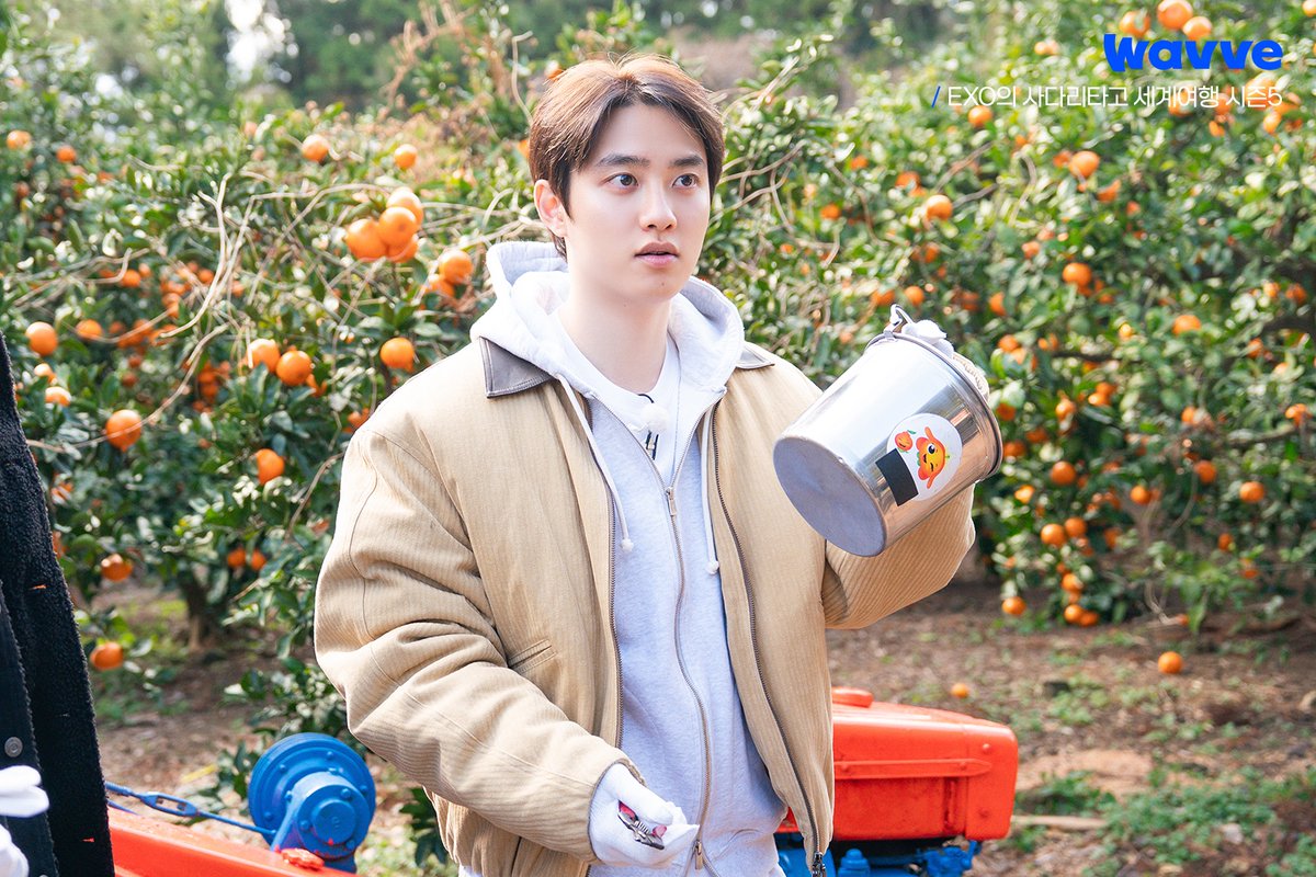 Wavve (웨이브) tweet media