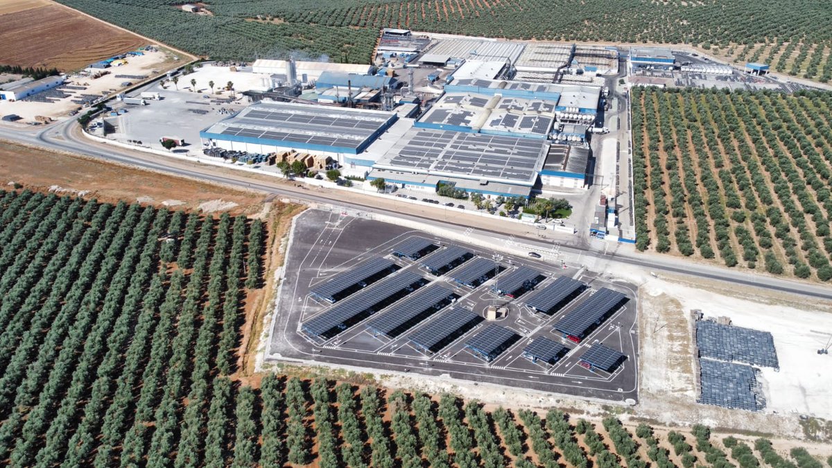 OleoRevista's tweet image. @agrosevilla_  refuerza su expansión en encurtidos con la adquisición de #Rioverde

oleorevista.com/texto-diario/m…