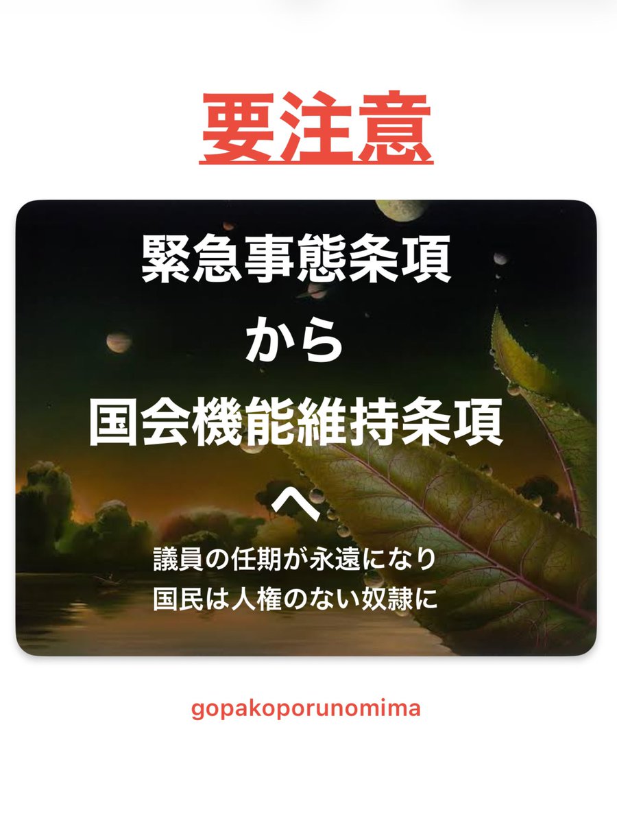 🐈ゴパコポ・ルノミマ🐈⬛ tweet media