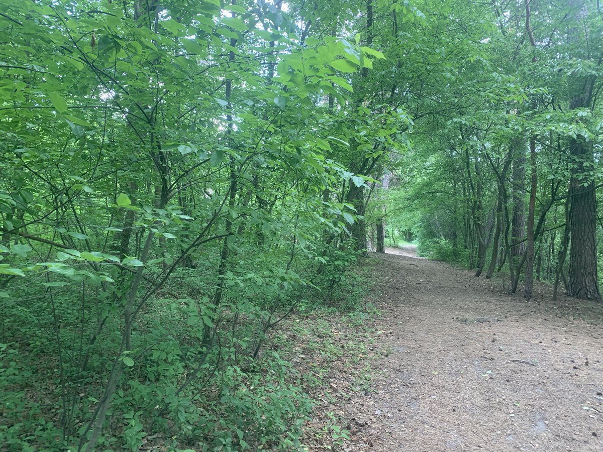 Lyudmila☀️ tweet media