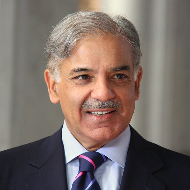 Whale Insider tweet media