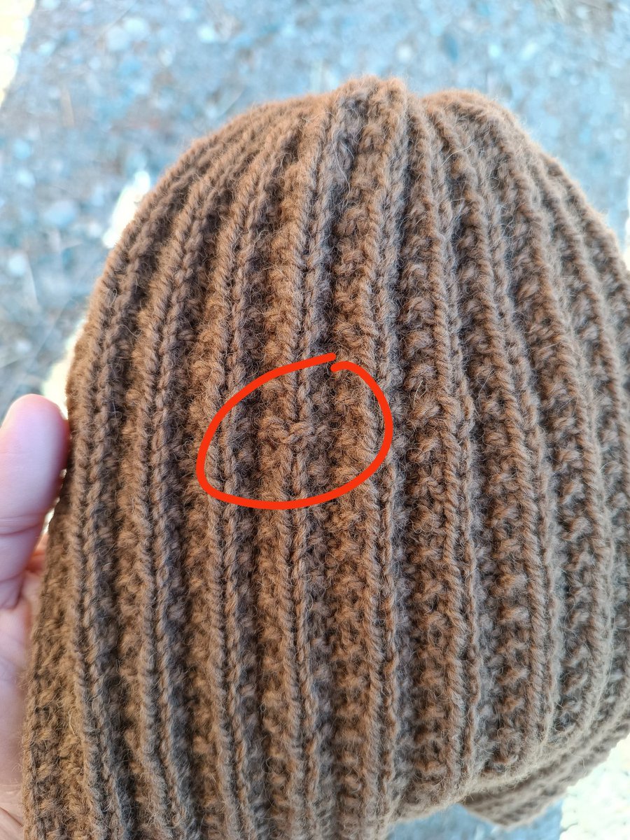 Olga Pecorelle tweet media