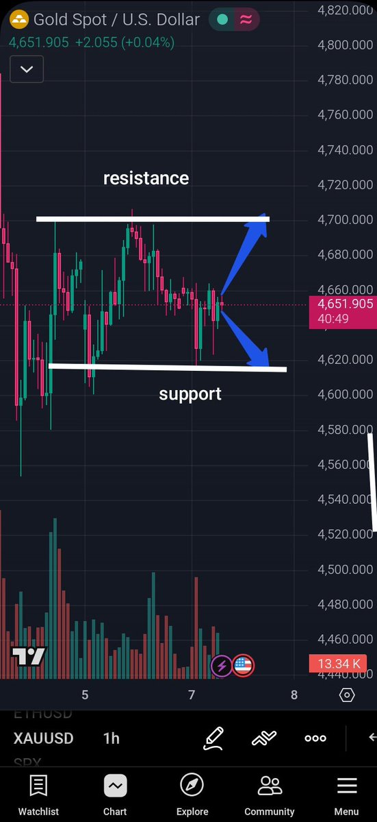 marlina trader tweet media