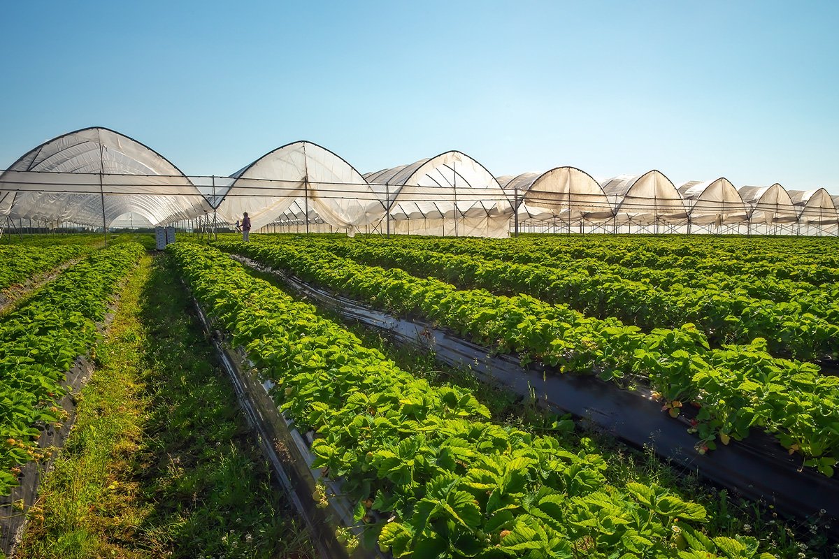 Andhra Nexus tweet media