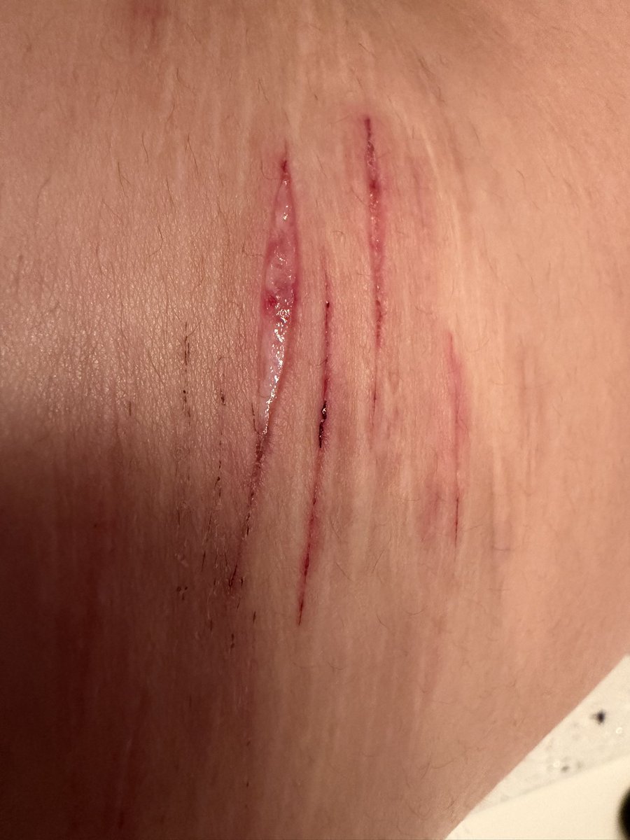 . ౿ 𝐉𝐮𝐧𝐞 ── .✦ tweet media