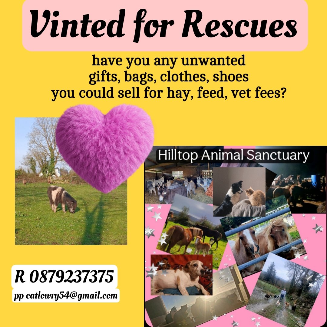 catlowry54's tweet photo. Not sure I can keep the sanctuary doors open. Lots of sleepless nights,so stressed, huge personal debt built up over 15 years of rescue work.I understand cost of living crisis so I don't want donations,but do you have anything you could sell on vinted,to help Hilltop? x https://t.co/3Pv09A8R5t