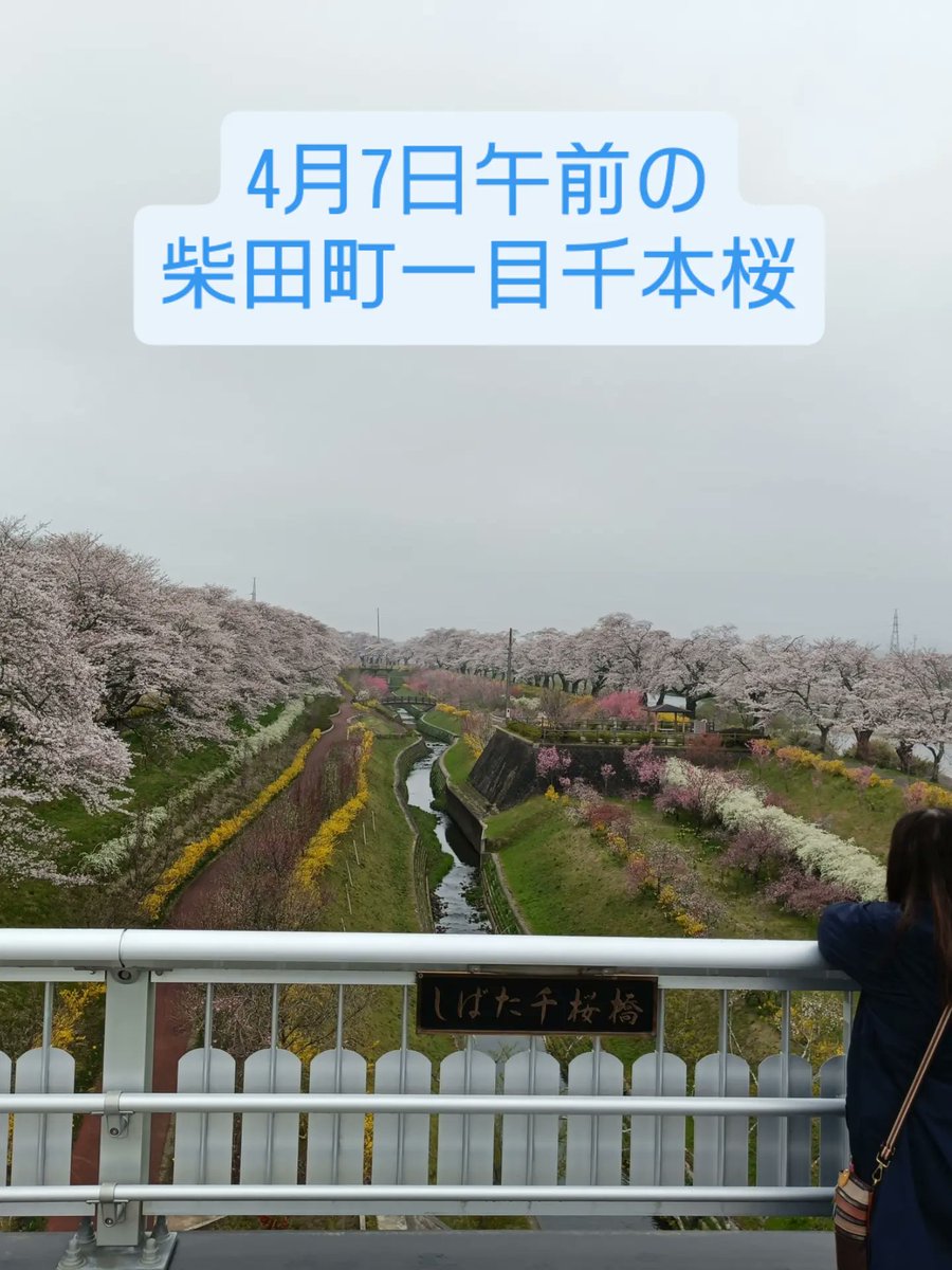 土ぼっくり＆STONES@くらふと一期舎⏩4/29〜5/6益子陶器市 tweet media