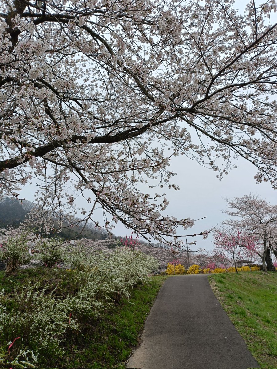 土ぼっくり＆STONES@くらふと一期舎⏩4/29〜5/6益子陶器市 tweet media