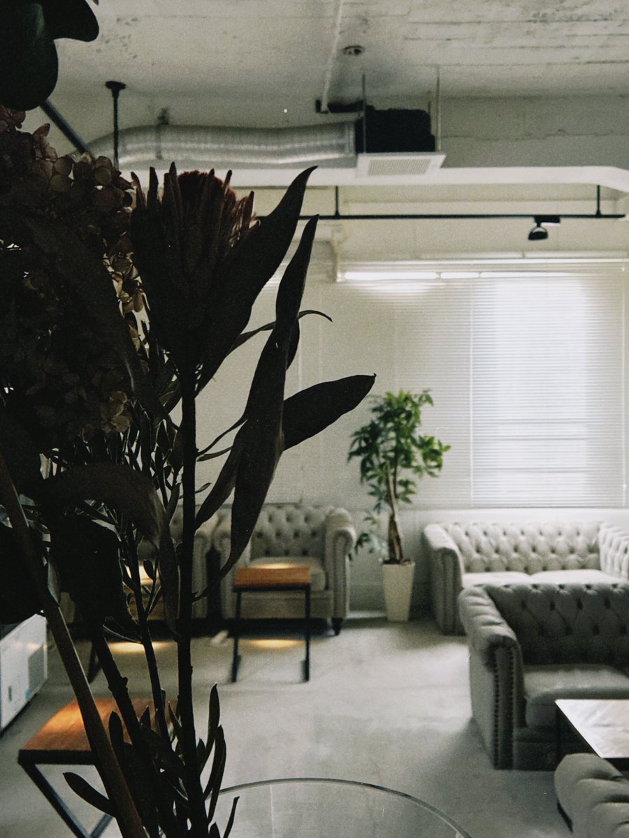 Shisha bubble tweet media