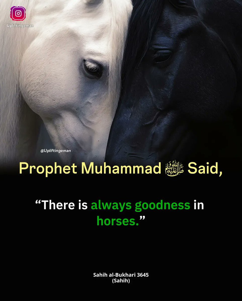 المر أة الصالحة 🧕🏻‏ tweet media