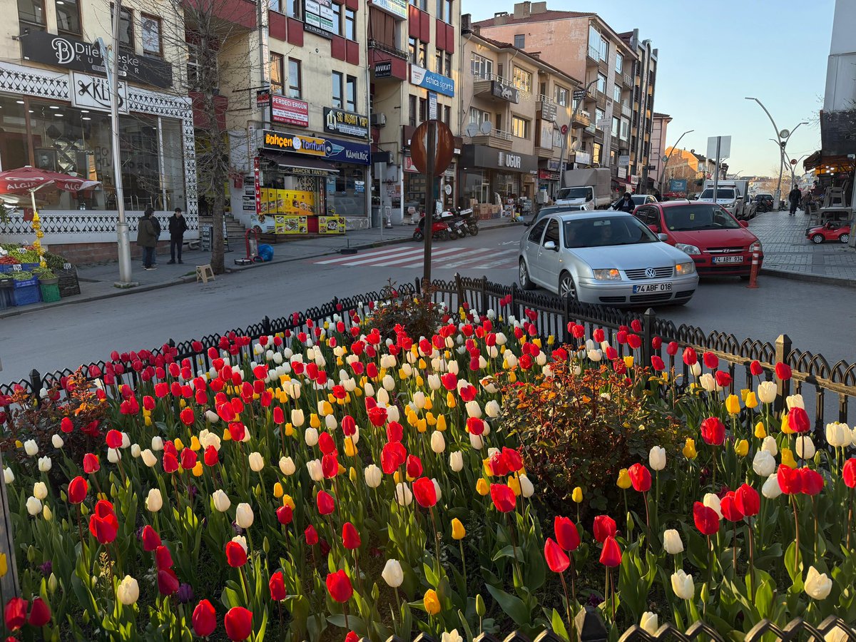 Bartın Belediyesi tweet media