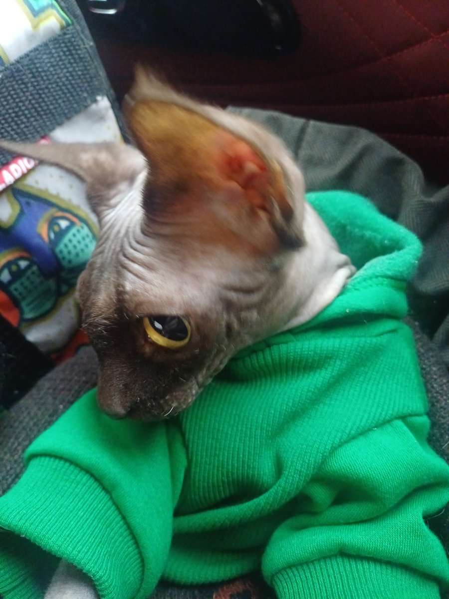 tolya 🔞 tweet media