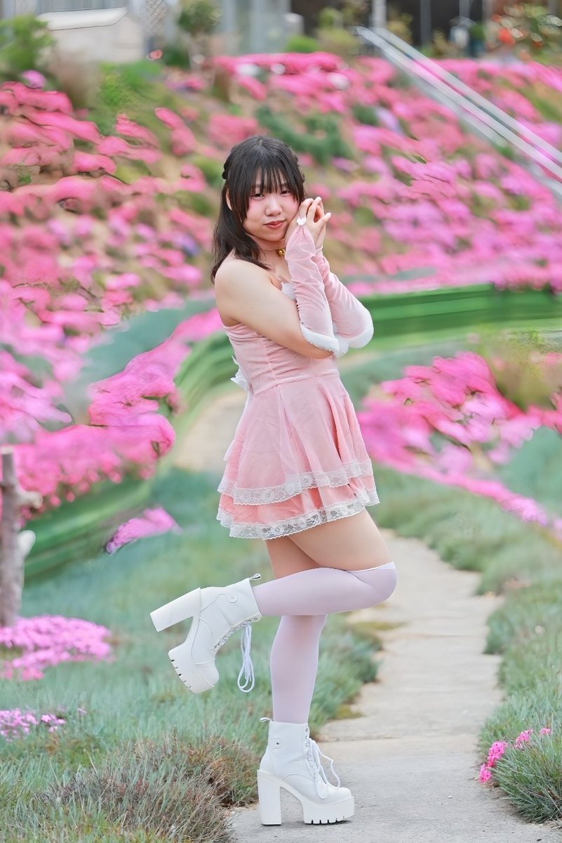 ⌘すっとんだ次郎 tweet media