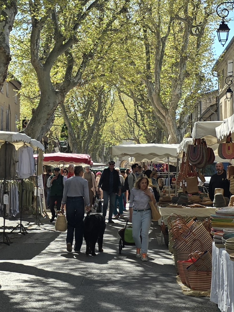HansintheProvence tweet media