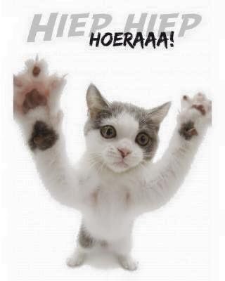 Annemarie & Musje 🐈 Bee 🐈 tweet media