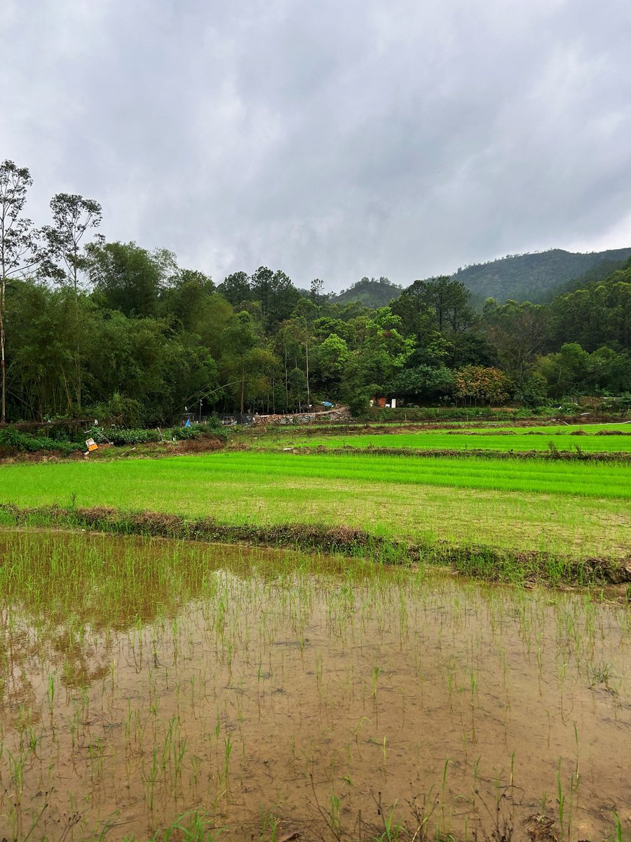 Jememanque tweet media