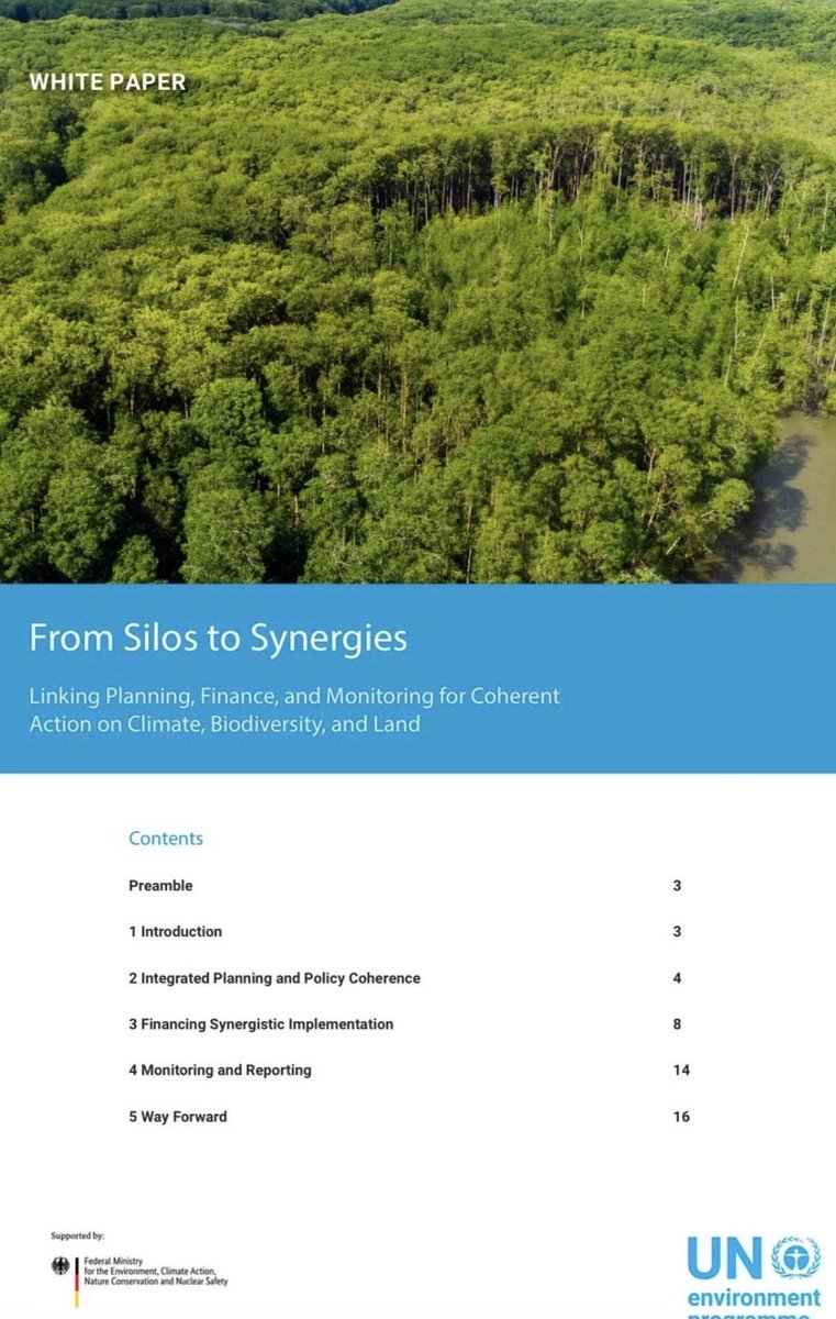 Farhiya Farah tweet media